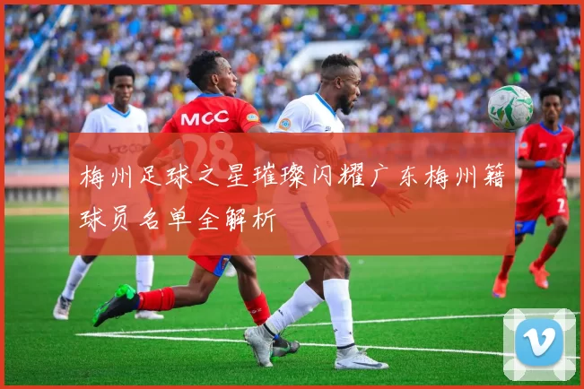 梅州足球之星璀璨闪耀广东梅州籍球员名单全解析