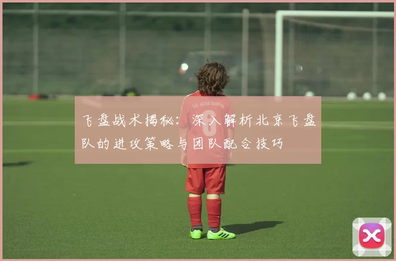 飞盘战术揭秘：深入解析北京飞盘队的进攻策略与团队配合技巧