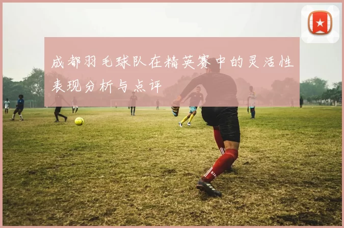 成都羽毛球队在精英赛中的灵活性表现分析与点评