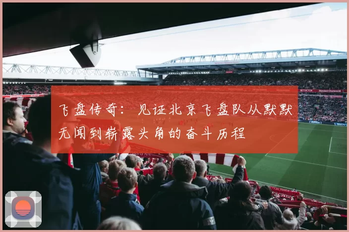 飞盘传奇：见证北京飞盘队从默默无闻到崭露头角的奋斗历程