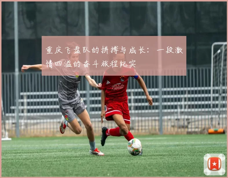 重庆飞盘队的拼搏与成长：一段激情四溢的奋斗旅程纪实