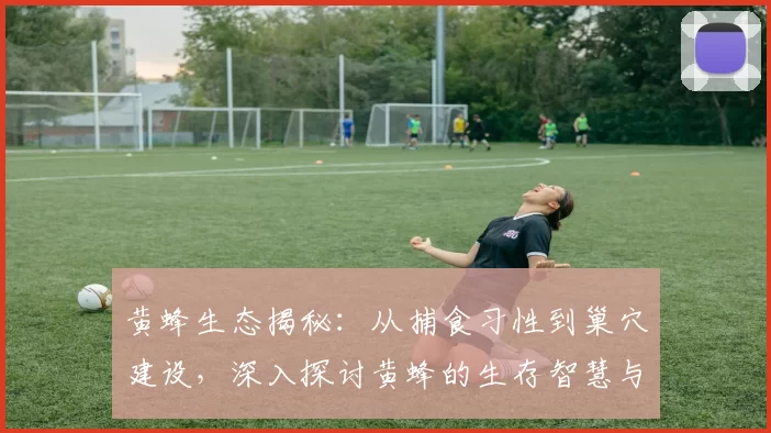 黄蜂生态揭秘：从捕食习性到巢穴建设，深入探讨黄蜂的生存智慧与行为模式