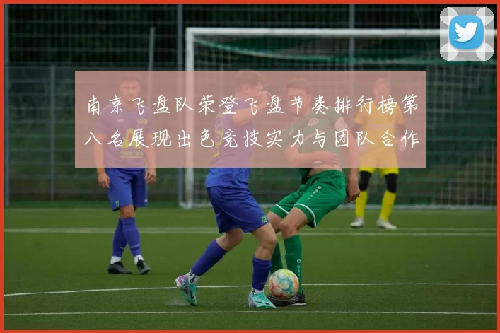 南京飞盘队荣登飞盘节奏排行榜第八名展现出色竞技实力与团队合作精神