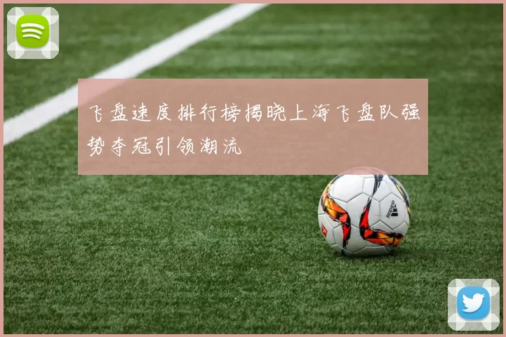 飞盘速度排行榜揭晓上海飞盘队强势夺冠引领潮流